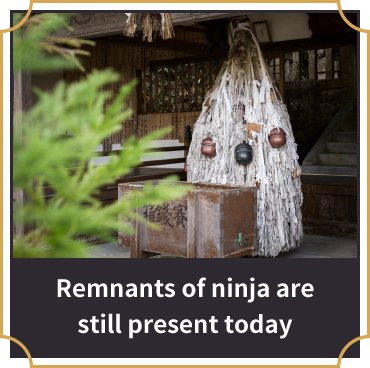 Remnants of ninja are still present today