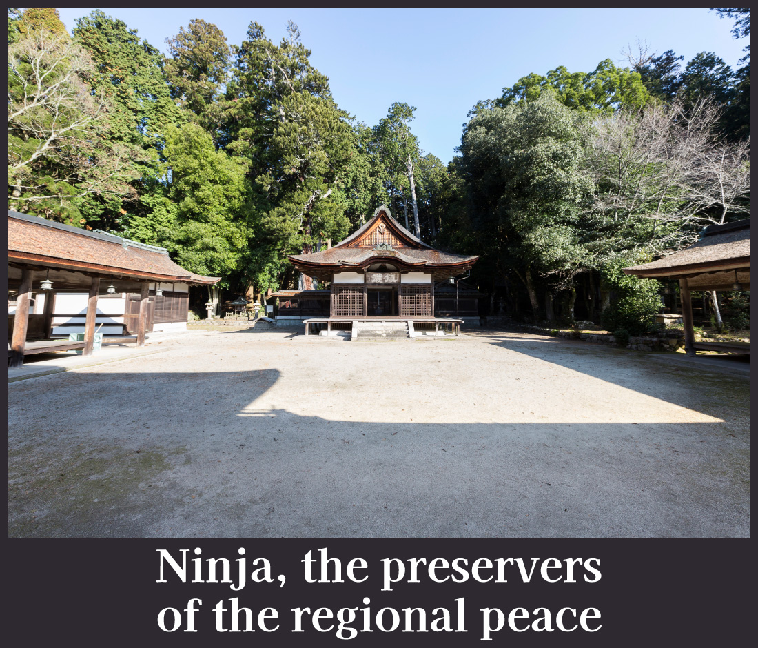 Ninja,the preservers of the regional peace
