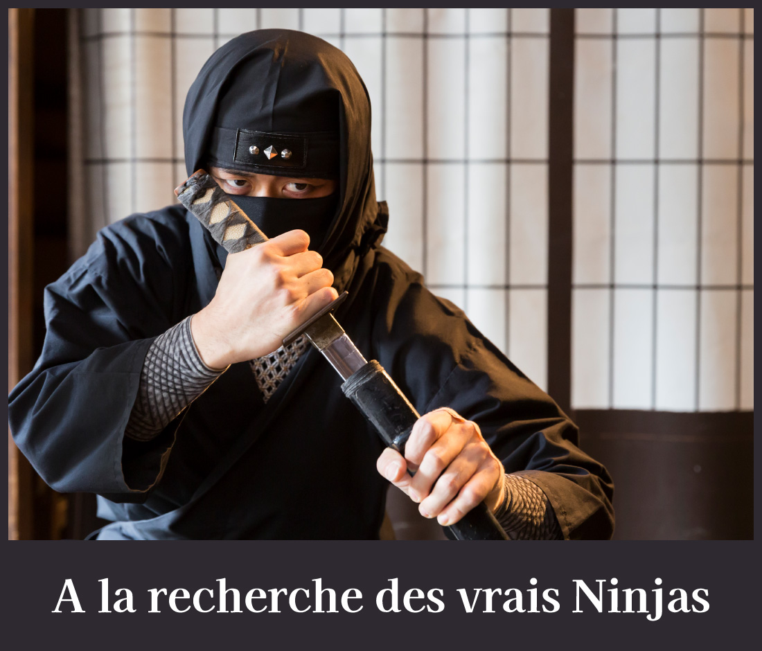 A la recherche des vrais Ninjas