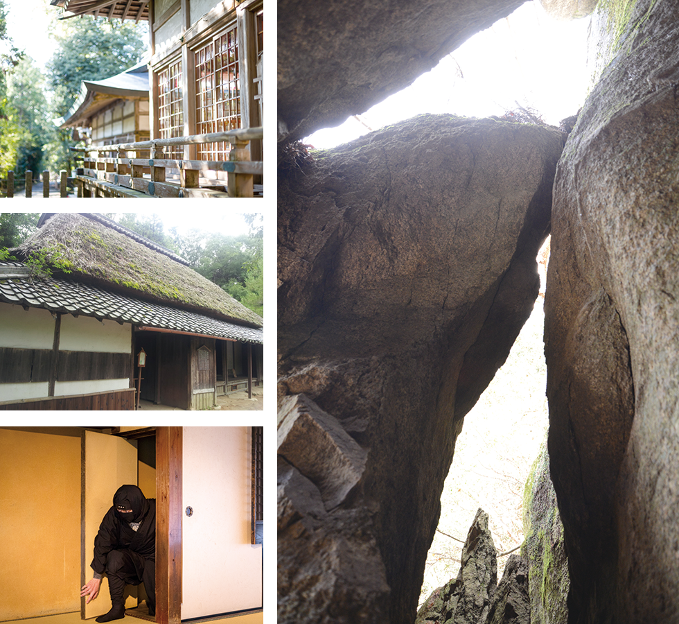“伊贺”(三重县伊贺市)和“甲贺”(滋贺县甲贺市)