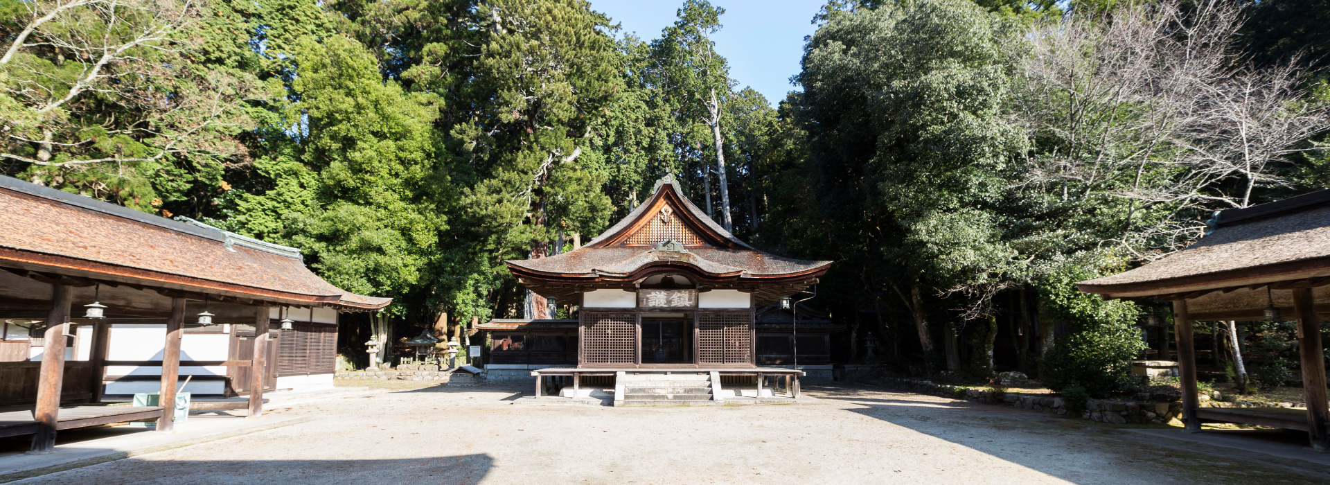 地域の平和を守った忍者たち