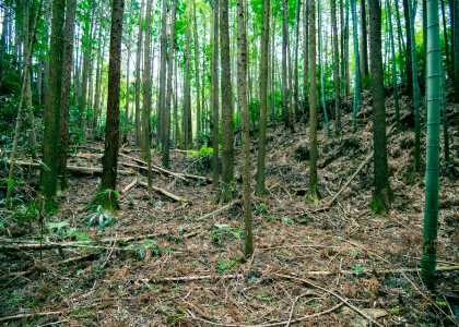 掛田遺址