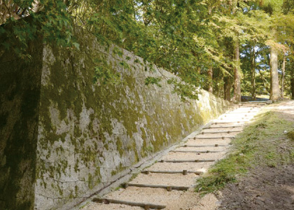 Ruines de Tarao Daikan Jinya