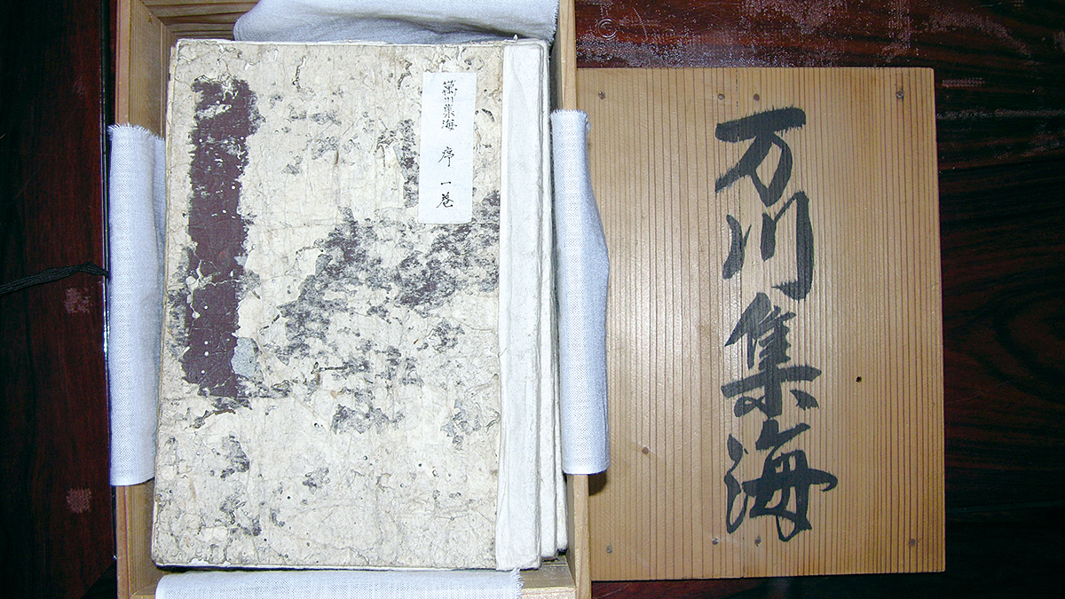 Book of Ninjutsu