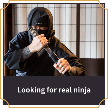 Looking for real ninja