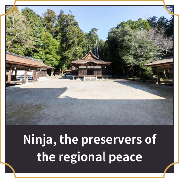 Ninja,the preservers of the regional peace