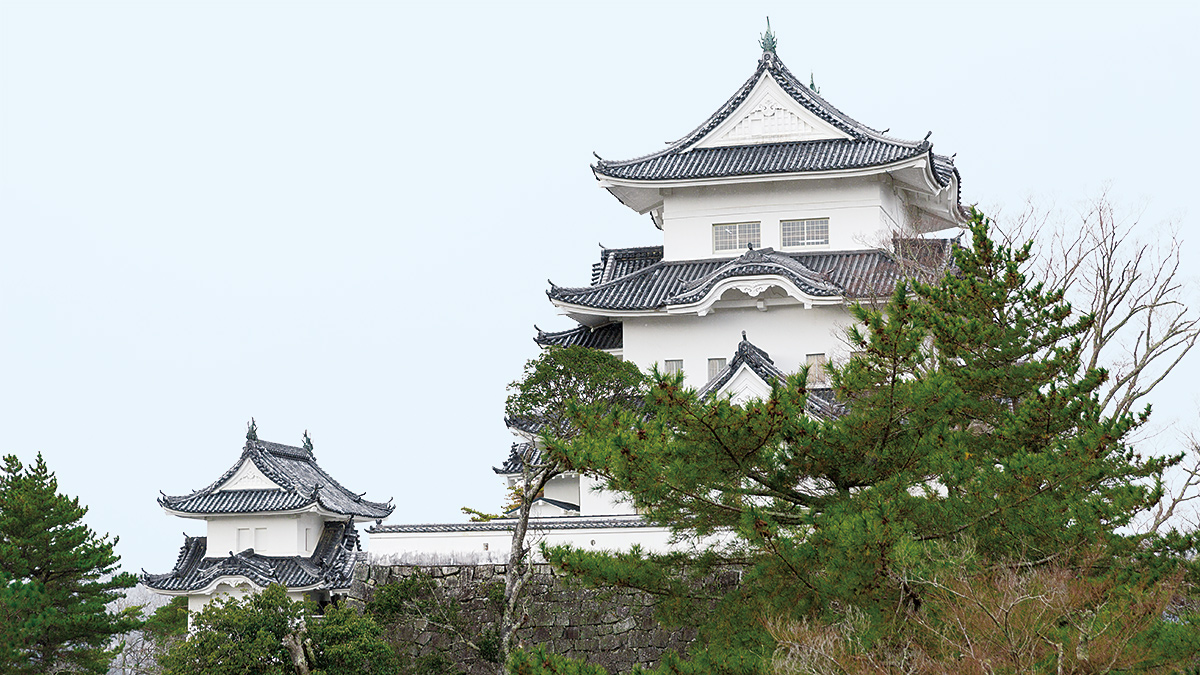 Vestiges du château d’Ueno