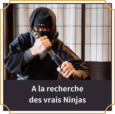 A la recherche des vrais Ninjas