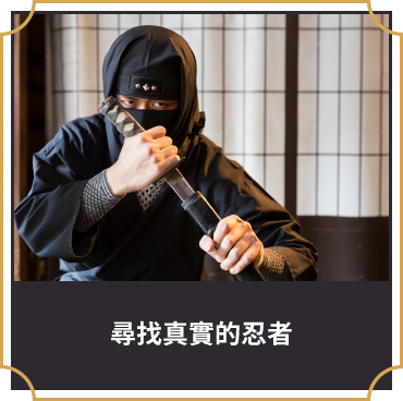 尋找真實的忍者