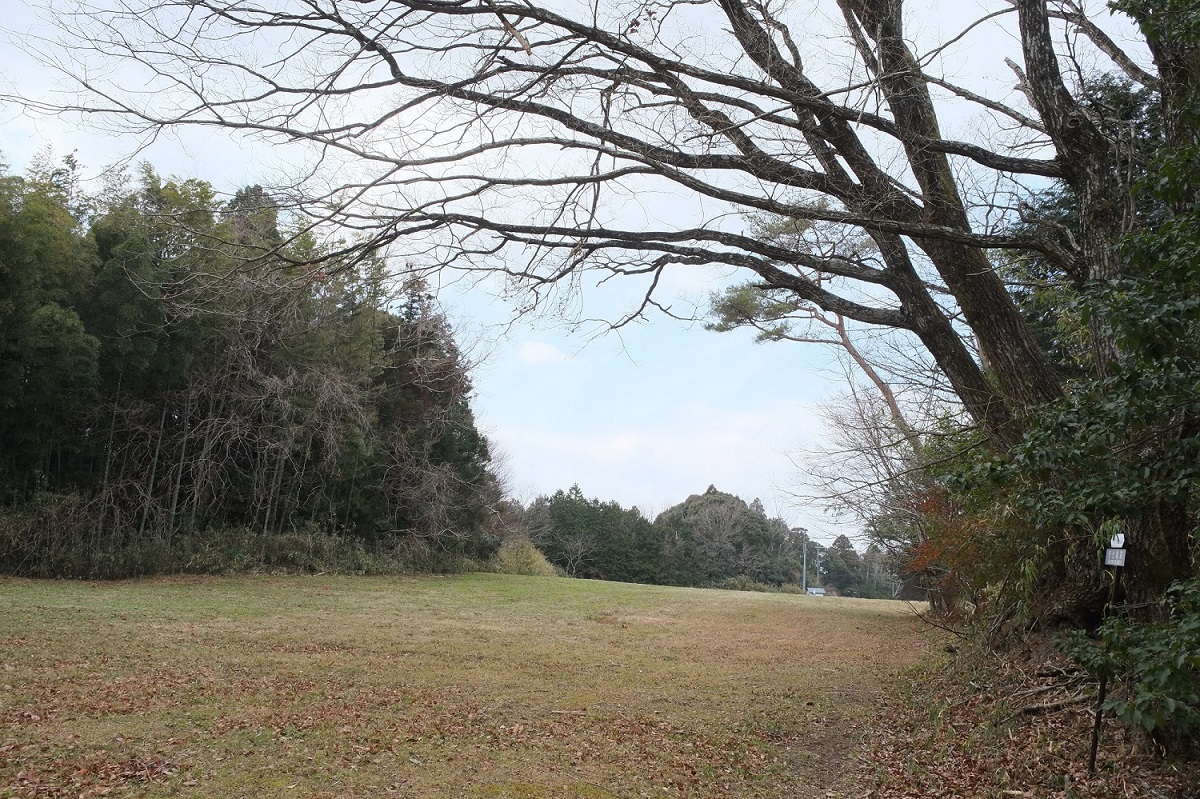 Saji-jo Castle Ruins, a municipal designated historic site