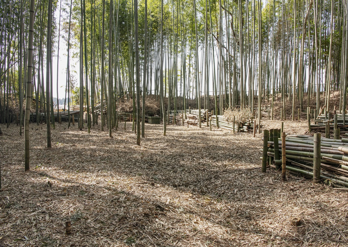 Takenaka-jo Castle Ruins