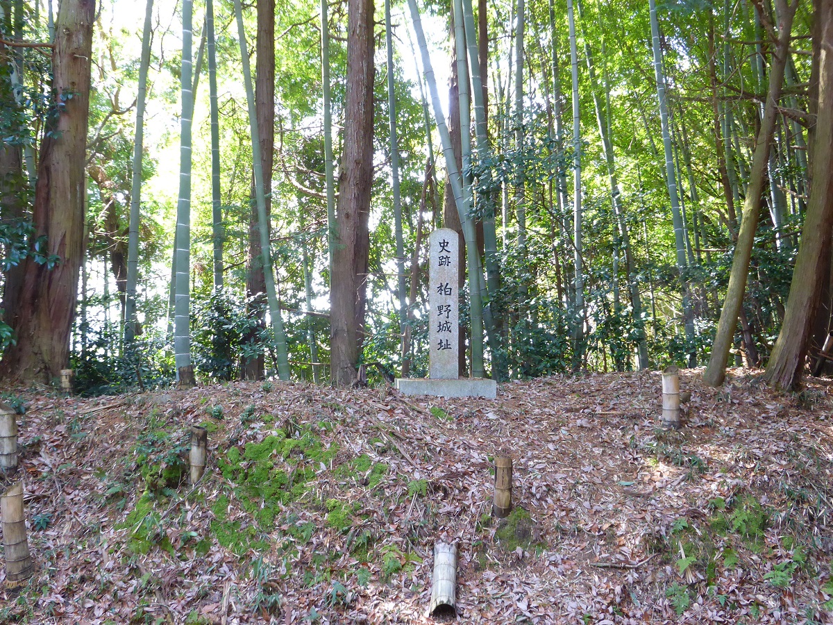 Kashiwano-jo Castle Ruins