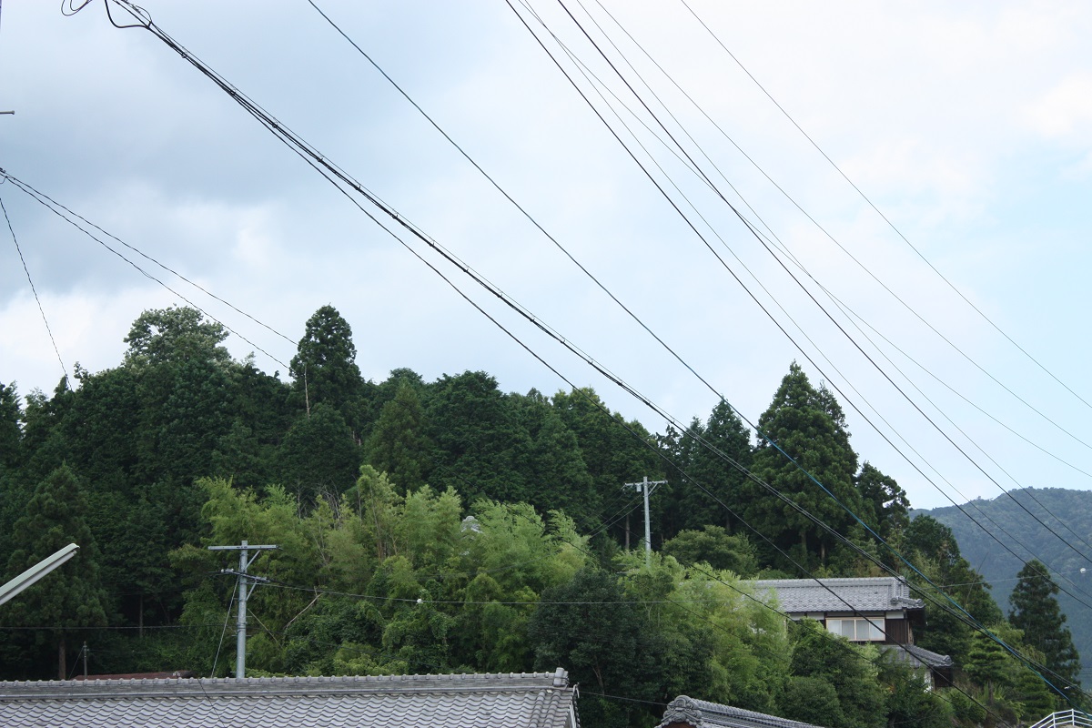 Takeshima-jo Castle Ruins