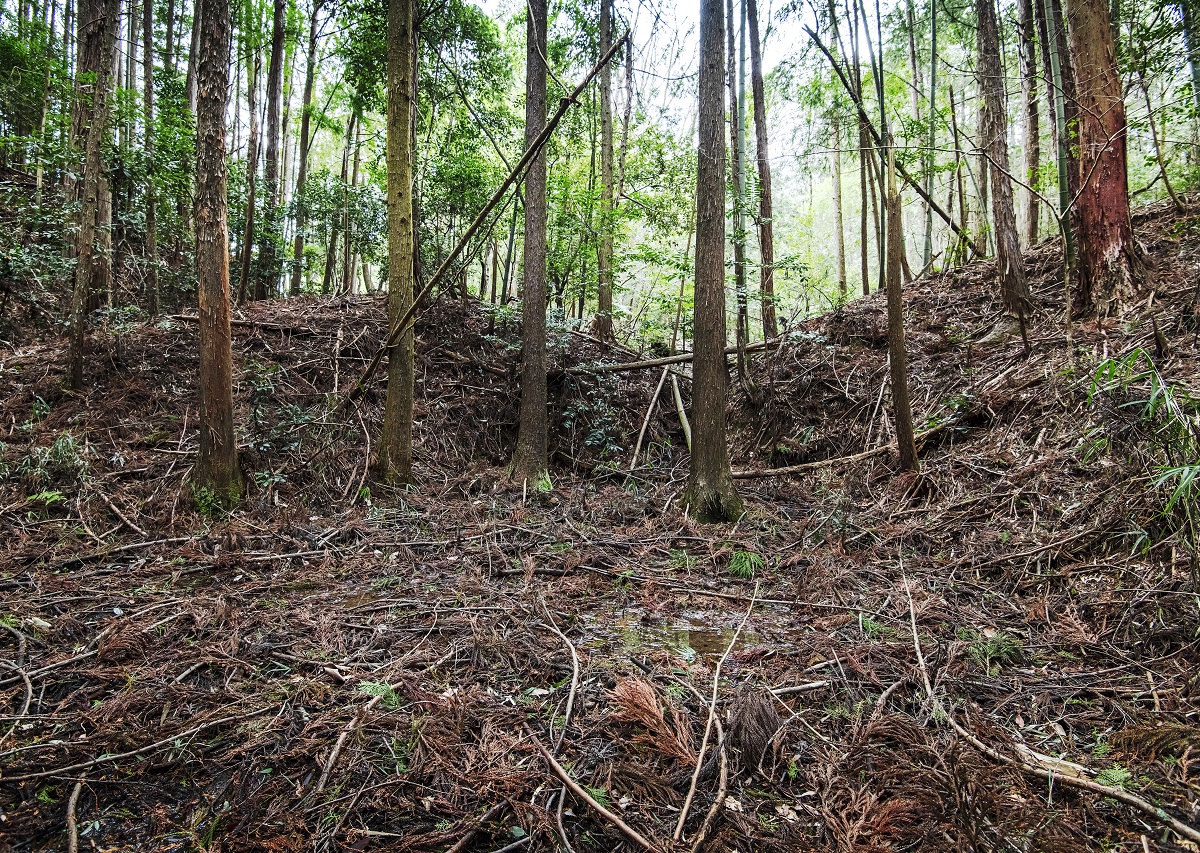 Kakeda-jo Castle Ruins